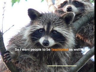 So I want people to be fascinated as well!
"https://www.ﬂickr.com/photos/10922353@N03/5899619402/">www.ForestWander.com</a> via <a
 