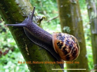 As a kid, Nature always fascinated me
https://www.ﬂickr.com/photos/65984677@N03/11609223795/">Flickpicpete (Thanks for 1 million+ views)</a> via <a
 