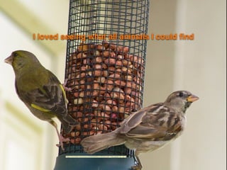 I loved seeing what all animals I could ﬁnd
"https://www.ﬂickr.com/photos/23629083@N03/14953501448/">ﬁnal gather</a> via <a
 