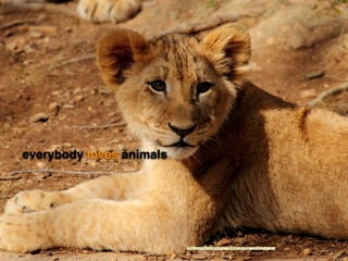 everybody loves animals
"https://www.ﬂickr.com/photos/7471115@N08/5455140902/">Mr.TinDC</a> via <a
 