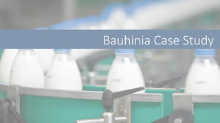 Bauhinia Case Study
 
