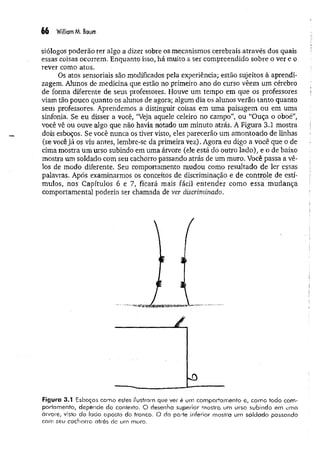 66 William M. Baum
siólogos poderão ter algo a dizer sobre os mecanismos cerebrais através dos quais
essas coisas ocorrem. Enquanto isso, há muito a ser compreendido sobre o ver e o
rever como atos.
Os atos sensoriais são modificados pela experiência; estão sujeitos à aprendi­
zagem. Alunos de medicina que estão no primeiro ano do curso vêem um cérebro
de forma diferente de seus professores. Houve um tempo em que os professores
viam tão pouco quanto os alunos de agora; algum dia os alunos verão tanto quanto
seus professores. Aprendemos a distinguir coisas em uma paisagem ou em uma
sinfonia. Se eu disser a você, “Veja aquele celeiro no campo”, ou “Ouça o oboé”,
você vê ou ouve algo que não havia notado um minuto atrás. A Figura 3.1 mostra
dois esboços. Se você nunca os tiver visto, eles parecerão um am ontoado de linhas
(se você já os viu antes, lembre-se da primeira vez). Agora eu digo a você que o de
cima mostra um urso subindo em uma árvore (ele está do outro lado), e o de baixo
mostra um soldado com seu cachorro passando atrás de um muro. Você passa a vê-
los de modo diferente. Seu comportamento mudou como resultado de ler essas
palavras. Após examinarmos os conceitos de discriminação e de controle de estí­
mulos, nos Capítulos 6 e 7, ficará mais fácil entender como essa m udança
comportamental poderia ser chamada de ver discriminado.
Figuro 3.1 Esboços como estes ilustram que ver é um comportamento e, como todo com­
portamento, depende do contexto. O desenho superior mosira um urso subindo em uma
árvore, vislo do lado oposio do tronco. O da porte inferior mostra um soldado passando
com seu cachorro atrás de um muro.
Á .
-0
 