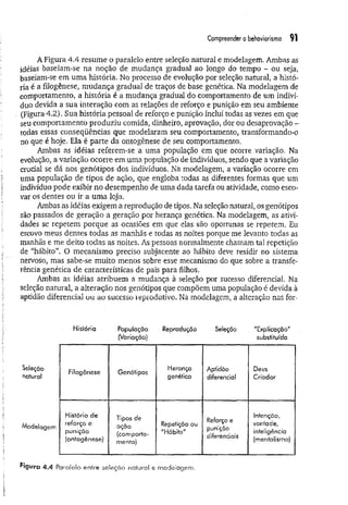 Compreender o behoviorismo 91
A Figura 4.4 resume o paralelo entre seleção natural e modelagem. Ambas as
idéias baseiam-se na noção de mudança gradual ao longo do tempo - ou seja,
baseiam-se em um a história. No processo de evolução por seleção natural, a histó­
ria é a filogênese, m udança gradual de traços de base genética. Na modelagem de
comportamento, a história é a mudança gradual do comportamento de um indiví­
duo devida a sua interação com as relações de reforço e punição em seu ambiente
(Figura 4.2). Sua história pessoal de reforço e punição inclui todas as vezes em que
seu comportamento produziu comida, dinheiro, aprovação, dor ou desaprovação -
todas essas conseqüências que modelaram seu comportamento, transformando-o
no que é hoje. Ela é parte da ontogênese de seu comportamento.
Ambas as idéias referem-se a uma população em que ocorre variação. Na
evolução, a variação ocorre em uma população de indivíduos, sendo que a variação
crucial se dá nos genótipos dos indivíduos. Na modelagem, a variação ocorre em
uma população de tipos de ação, que engloba todas as diferentes formas que um
indivíduo pode exibir no desempenho de uma dada tarefa ou atividade, como esco­
var os dentes ou ir a um a loja.
Ambas as idéias exigem a reprodução de tipos. Na seleção natural, os genótipos
são passados de geração a geração por herança genética. Na modelagem, as ativi­
dades se repetem porque as ocasiões em que elas são oportunas se repetem. Eu
escovo meus dentes todas as manhãs e todas as noites porque me levanto todas as
manhãs e me deito todas as noites. As pessoas normalmente chamam tal repetição
de "hábito”. O mecanismo preciso subjacente ao hábito deve residir no sistema
nervoso, mas sabe-se muito menos sobre esse mecanismo do que sobre a transfe­
rência genética de características de país para filhos.
Ambas as idéias atribuem a mudança à seleção por sucesso diferencial. Na
seleção natural, a alteração nos genótipos que compõem uma população é devida à
aptidão diferencial ou ao sucesso reprodutivo. Na modelagem, a alteração nas for-
Hisfória População
(Variação)
Reprodução Seleção "Explicação"
substituída
Seleção
natural
Filogênese Genótipos
Herança
genética
Aptidão
diferencial
Deus
Criador
Modelagem
História de
reforço e
punição
(ontogênese)
Tipos de
ação
(comporta­
mento)
Repetição ou
"Hábito"
Reforço e
punição
diferenciais
Intenção,
vontade,
inteligência
(mentaÜsmo)
Figura 4.^ Paralelo entre seleção natural e modelagem.
 
