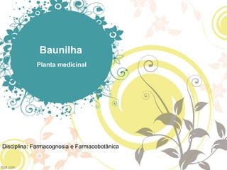 Baunilha
Planta medicinal
Disciplina: Farmacognosia e Farmacobotânica
 