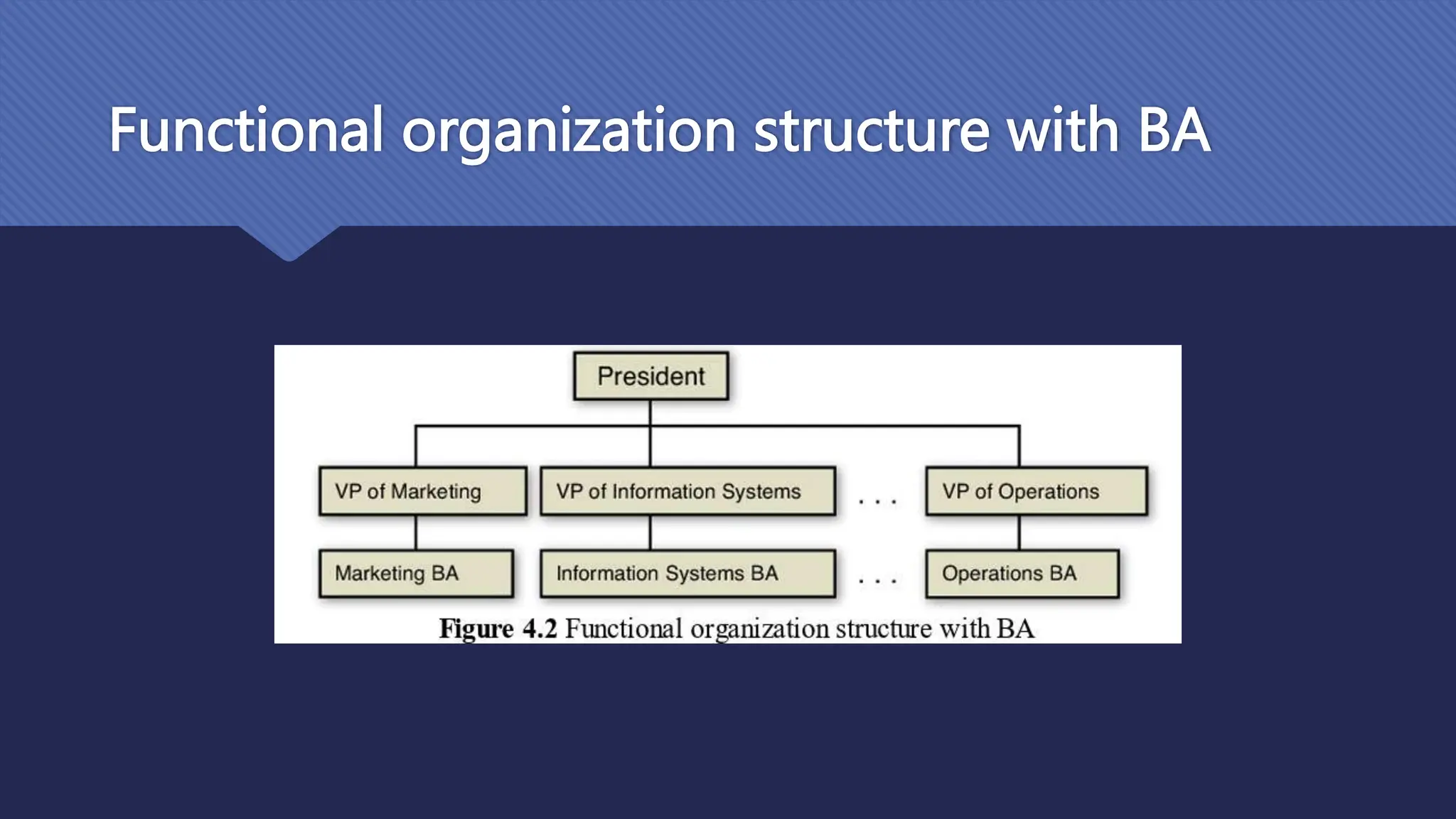 Functional organization structure with BA
 