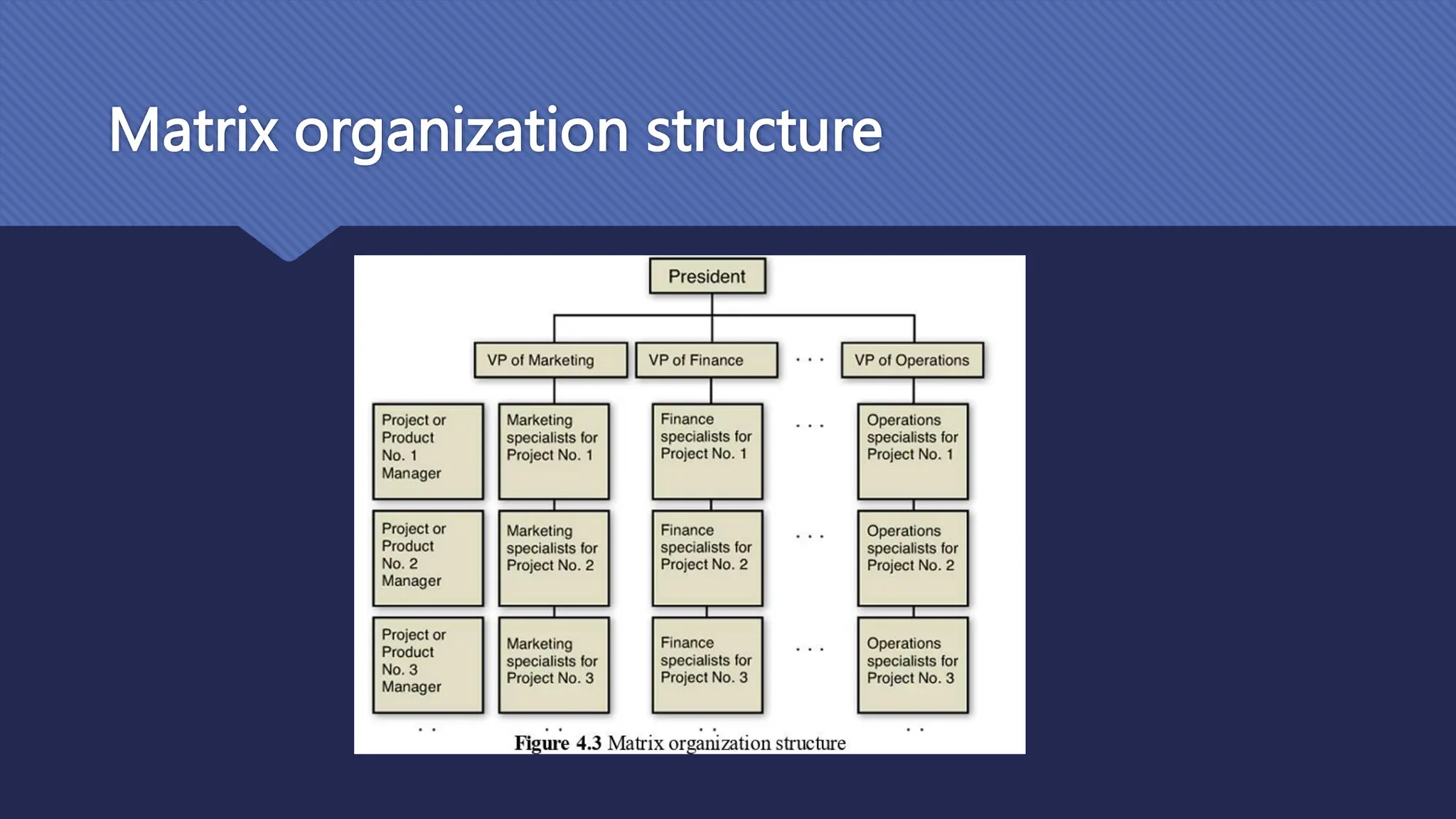 Matrix organization structure
 
