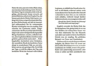 Bausteine zu einer neuen Welt ( Freimaurerbuch 32. 33. Grad )