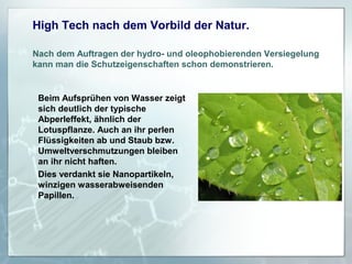 High Tech nach dem Vorbild der Natur.
Nach dem Auftragen der hydro- und oleophobierenden Versiegelung
kann man die Schutzeigenschaften schon demonstrieren.

Beim Aufsprühen von Wasser zeigt
sich deutlich der typische
Abperleffekt, ähnlich der
Lotuspflanze. Auch an ihr perlen
Flüssigkeiten ab und Staub bzw.
Umweltverschmutzungen bleiben
an ihr nicht haften.
Dies verdankt sie Nanopartikeln,
winzigen wasserabweisenden
Papillen.

 