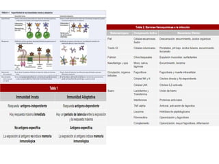 V de Gowin - Inmunidad innata