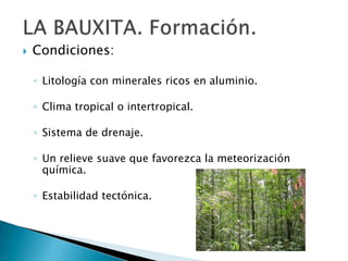    Condiciones:

    ◦ Litología con minerales ricos en aluminio.

    ◦ Clima tropical o intertropical.

    ◦ Sistema de drenaje.

    ◦ Un relieve suave que favorezca la meteorización
      química.

    ◦ Estabilidad tectónica.
 
