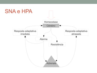 SNA e HPA
Cérebro
Resposta adaptativa
atrasada
Alarme
Resistência
Homeostase
Resposta adaptativa
imediata
Adrenais
 