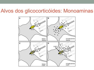 Alvos dos glicocorticóides: Monoaminas
 