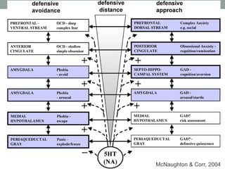 McNaughton & Corr, 2004
 