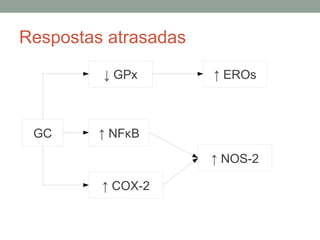Respostas atrasadas
GC
↓ GPx ↑ EROs
↑ NFκB
↑ COX-2
↑ NOS-2
 