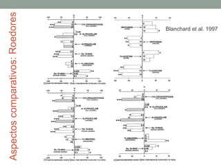 Aspectoscomparativos:Roedores
Blanchard et al. 1997
 