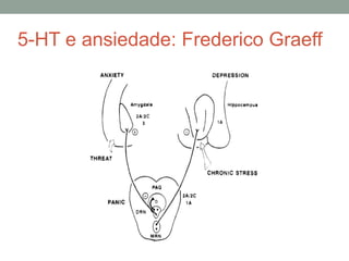 5-HT e ansiedade: Frederico Graeff
 
