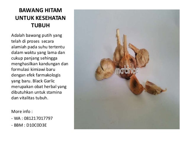 Bawang Hitam Lanang