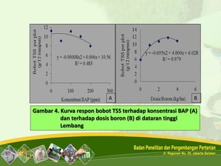Gambar 4. Kurva respon bobot TSS terhadap konsentrasi BAP (A)
dan terhadap dosis boron (B) di dataran tinggi
Lembang
A B
 