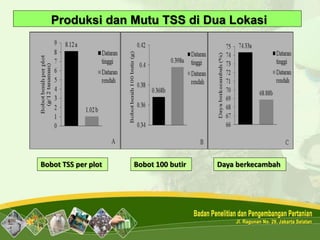 Bobot TSS per plot Bobot 100 butir Daya berkecambah
Produksi dan Mutu TSS di Dua Lokasi
 