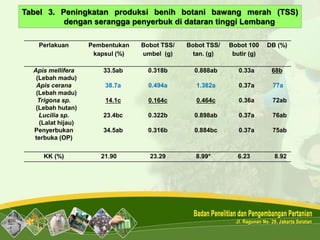 Perlakuan Pembentukan
kapsul (%)
Bobot TSS/
umbel (g)
Bobot TSS/
tan. (g)
Bobot 100
butir (g)
DB (%)
Apis mellifera
(Lebah madu)
Apis cerana
(Lebah madu)
Trigona sp.
(Lebah hutan)
Lucilia sp.
(Lalat hijau)
Penyerbukan
terbuka (OP)
33.5ab
38.7a
14.1c
23.4bc
34.5ab
0.318b
0.494a
0.164c
0.322b
0.316b
0.888ab
1.382a
0.464c
0.898ab
0.884bc
0.33a
0.37a
0.36a
0.37a
0.37a
68b
77a
72ab
76ab
75ab
KK (%) 21.90 23.29 8.99* 6.23 8.92
Tabel 3. Peningkatan produksi benih botani bawang merah (TSS)
dengan serangga penyerbuk di dataran tinggi Lembang
 