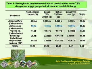 Perlakuan
Pembentukan
kapsul (%)
Bobot
TSS/
umbel (g)
Bobot
TSS/ tan.
(g)
Bobot 100
butir (g) DB (%)
Apis mellifera
(Lebah madu)
Apis cerana
(Lebah madu)
Trigona sp.
(Lebah hutan)
Lucilia sp.
(Lalat hijau)
Penyerbukan
terbuka (OP)
43.8ab
66.7a
14.3b
26.4b
37.5ab
0.303ab
0.453a
0.077c
0.143bc
0.303ab
0.323 b
0.503 a
0.077d
0.143cd
0.313bc
0.350b
0.397a
0.360ab
0.367ab
0.367a
79.6a
83.2a
77.2a
80.8a
82.0a
KK (%) 17.53 29.16 23.46 4.47 8.09
Tabel 4. Peningkatan pembentukan kapsul, produksi dan mutu TSS
dengan serangga penyerbuk di dataran rendah Subang
 