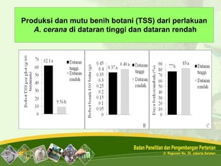 Produksi dan mutu benih botani (TSS) dari perlakuan
A. cerana di dataran tinggi dan dataran rendah
 