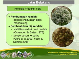 Latar Belakang
Kendala Produksi TSS
● Pembungaan rendah:
- kondisi lingkungan tidak
mendukung
● Pembentukan biji rendah:
- viabilitas serbuk sari rendah
(Ockendon & Gates 1976)
- penyerbukan terbatas
(Gure et al.2009, Yucel &
Duman 2005)
 