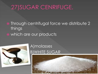  Through centrifugal force we distribute 2 
things 
 which are our products 
A)molasses 
B)WHITE SUGAR 
 
