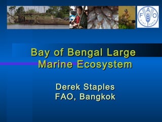 Bay of Bengal LargeBay of Bengal Large
Marine EcosystemMarine Ecosystem
Derek StaplesDerek Staples
FAO, BangkokFAO, Bangkok
 