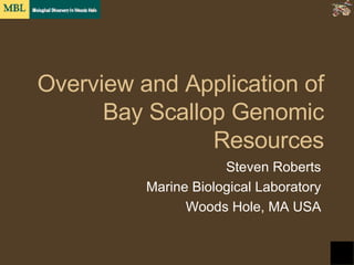 Overview and Application of Bay Scallop Genomic Resources Steven Roberts Marine Biological Laboratory Woods Hole, MA USA 