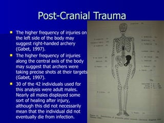 Post-Cranial Trauma The higher frequency of injuries on the left side of the body may suggest right-handed archery (Gabet, 1997). The higher frequency of injuries along the central axis of the body may suggest that archers were taking precise shots at their targets (Gabet, 1997). 30 of the 42 individuals used for this analysis were adult males. Nearly all males displayed some sort of healing after injury, although this did not necessarily mean that the individual did not eventually die from infection. 