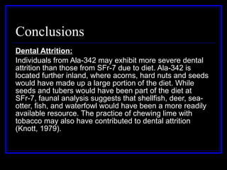 Conclusions Dental Attrition: Individuals from Ala-342 may exhibit more severe dental attrition than those from SFr-7 due to diet. Ala-342 is located further inland, where acorns, hard nuts and seeds would have made up a large portion of the diet. While seeds and tubers would have been part of the diet at SFr-7, faunal analysis suggests that shellfish, deer, sea-otter, fish, and waterfowl would have been a more readily available resource. The practice of chewing lime with tobacco may also have contributed to dental attrition (Knott, 1979).  