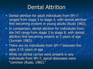 Dental Attrition Dental attrition for adult individuals from SFr-7 ranged from stage 2 to stage 4, with dental attrition first becoming evident in young adults (Rudo 1982).  In comparison, dental attrition for individuals from Ala-342 range from stage 3 to stage 8, with dental attrition first becoming evident at 3 years of age (Jurmain 1983). There are no individuals from SFr-7 between the ages 3-15 years of age.  While no dental carries were present in any individuals from SFr-7, apical abscesses were “common (Rudo, 1982).” 