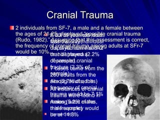 2 individuals from SF-7, a male and a female between the ages of 21-25, displayed “possible cranial trauma (Rudo, 1982).” Assuming that this assessment is correct, the frequency of cranial trauma among adults at SFr-7 would be 10%. Cranial Trauma 8 out of 365 individuals from Ala-329, displayed some sort of cranial trauma (2.2% of sample). 7 cases came from the 260 adults from the site (2.7% of adults) All instances of cranial trauma were found in males (5.2% of the male sample)  (Jurmain, 1997). A 23-30 year old male was the only individual out of 42 from Ala-342 that displayed a depressed cranial fracture (2.3% of sample).  Among adults, the frequency of cranial trauma would be 7.1% Among adult males, this frequency would be at 14.3% 