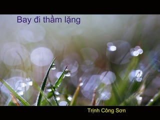 Bay đi thầm lặng




                   Trịnh Công Sơn
 