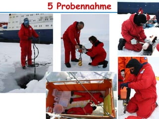 5 Probennahme