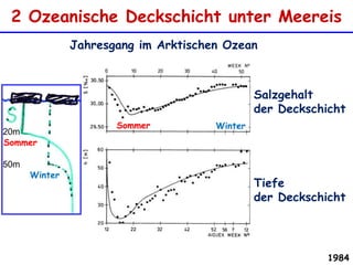 2 Ozeanische Deckschicht unter MeereisJahresgang im Arktischen OzeanSalzgehalt der DeckschichtSommerWinter20mSommer50mWinterTiefe der Deckschicht1984