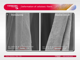 Deformation of cellulosic fibers



 •      BioScouring                                         Alkaline boil off




Green Solutions. Slide <55>
 