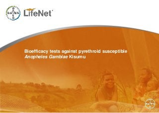 Bioefficacy tests against pyrethroid susceptible
Anopheles Gambiae Kisumu
 