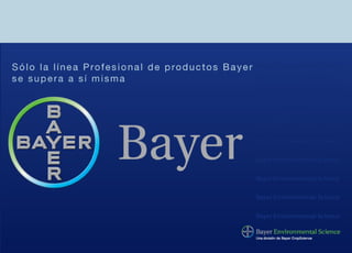 Bayer rodilon pellets
