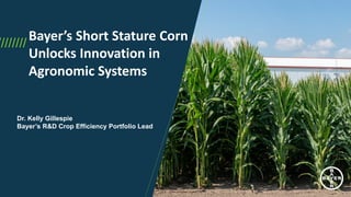 ////////
Bayer’s Short Stature Corn
Unlocks Innovation in
Agronomic Systems
Dr. Kelly Gillespie
Bayer’s R&D Crop Efficiency Portfolio Lead
 