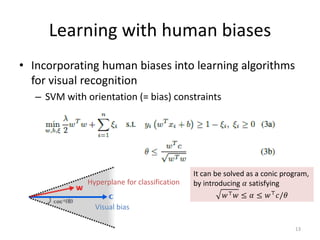 Learning with human biases
• Incorporating human biases into learning algorithms
for visual recognition
– SVM with orientation (= bias) constraints
13
Hyperplane for classification
Visual bias
It can be solved as a conic program,
by introducing 𝛼𝛼 satisfying
𝑤𝑤⊤ 𝑤𝑤 ≤ 𝛼𝛼 ≤ 𝑤𝑤⊤ 𝑐𝑐/𝜃𝜃
 