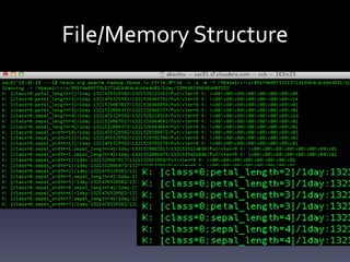 File/Memory Structure
 