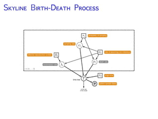 S B-D P
 