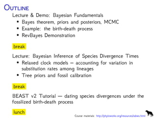 O
Lecture & Demo: Bayesian Fundamentals
• Bayes theorem, priors and posteriors, MCMC
• Example: the birth-death process
• RevBayes Demonstration
break
Lecture: Bayesian Inference of Species Divergence Times
• Relaxed clock models – accounting for variation in
substitution rates among lineages
• Tree priors and fossil calibration
break
BEAST v2 Tutorial — dating species divergences under the
fossilized birth-death process
lunch
Course materials: http://phyloworks.org/resources/ssbws.html
 
