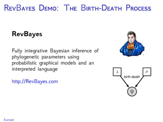 RB D: T B-D P
RevBayes
Fully integrative Bayesian inference of
phylogenetic parameters using
probabilistic graphical models and an
interpreted language
http://RevBayes.com
Example
 