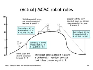Paul O. Lewis (2014 Woods Hole Molecular Evolution Workshop) 43
(Actual) MCMC robot rules
Uphill steps are
always accepted
because R > 1
Slightly downhill steps
are usually accepted
because R is near 1
Drastic “off the cliff”
downhill steps are almost
never accepted because
R is near 0
Currently at 1.0 m
Proposed at 2.3 m
R = 2.3/1.0 = 2.3
Currently at 6.2 m
Proposed at 5.7 m
R = 5.7/6.2 =0.92 Currently at 6.2 m
Proposed at 0.2 m
R = 0.2/6.2 = 0.03
6
8
4
2
0
10
The robot takes a step if it draws
a Uniform(0,1) random deviate
that is less than or equal to R
 