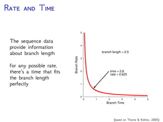 R  T
The sequence data
provide information
about branch length
for any possible rate,
there’s a time that ﬁts
the branch length
perfectly
0
1
2
3
4
5
0 1 2 3 4 5
BranchRate
Branch Time
time = 0.8
rate = 0.625
branch length = 0.5
(based on Thorne & Kishino, 2005)
 