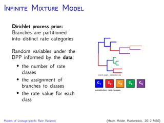 I M M
Dirichlet process prior:
Branches are partitioned
into distinct rate categories
Random variables under the
DPP informed by the data:
• the number of rate
classes
• the assignment of
branches to classes
• the rate value for each
class
branch length = substitution rate
c5
c4
c3
c2
substitution rate classes
c1
Models of Lineage-speciﬁc Rate Variation (Heath, Holder, Huelsenbeck. 2012 MBE)
 