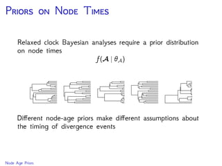 P  N T
Relaxed clock Bayesian analyses require a prior distribution
on node times
f(A | θA)
Diﬀerent node-age priors make diﬀerent assumptions about
the timing of divergence events
Node Age Priors
 
